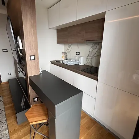 Apartman Mountain View - Golija *