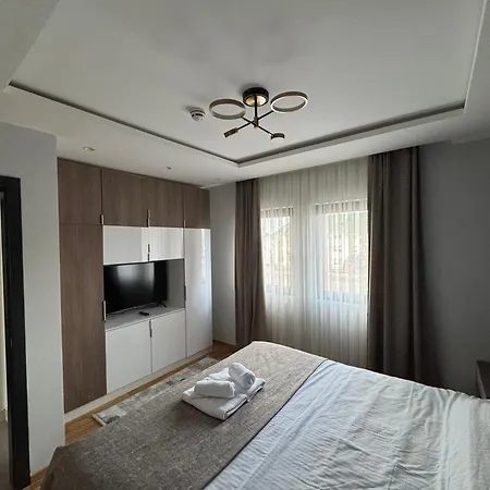 Mountain View - Golija *