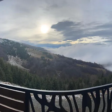 Mountain View - Golija *