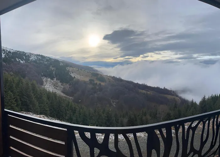 Mountain View - Golija *