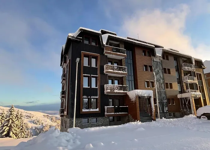 Mountain View - Golija